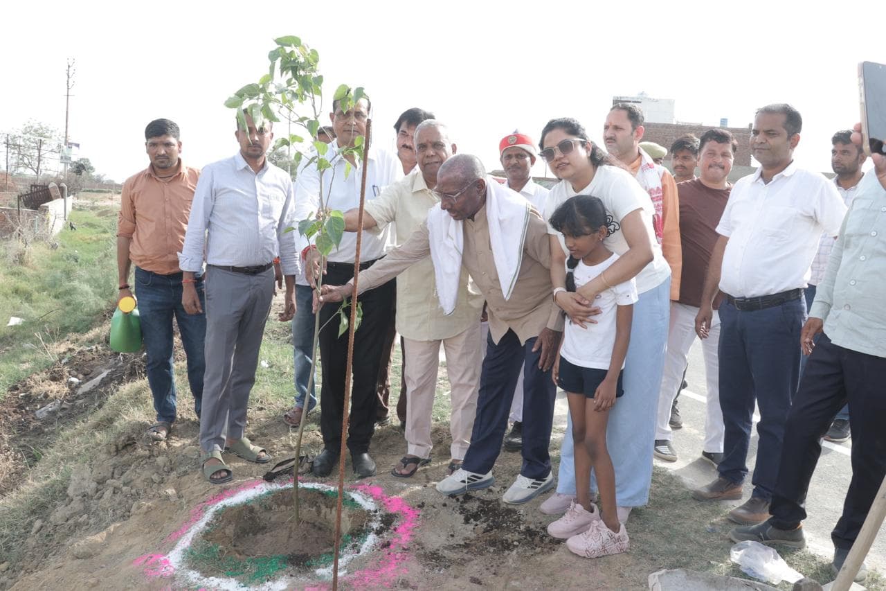 Green Plantation & Sustainability Efforts